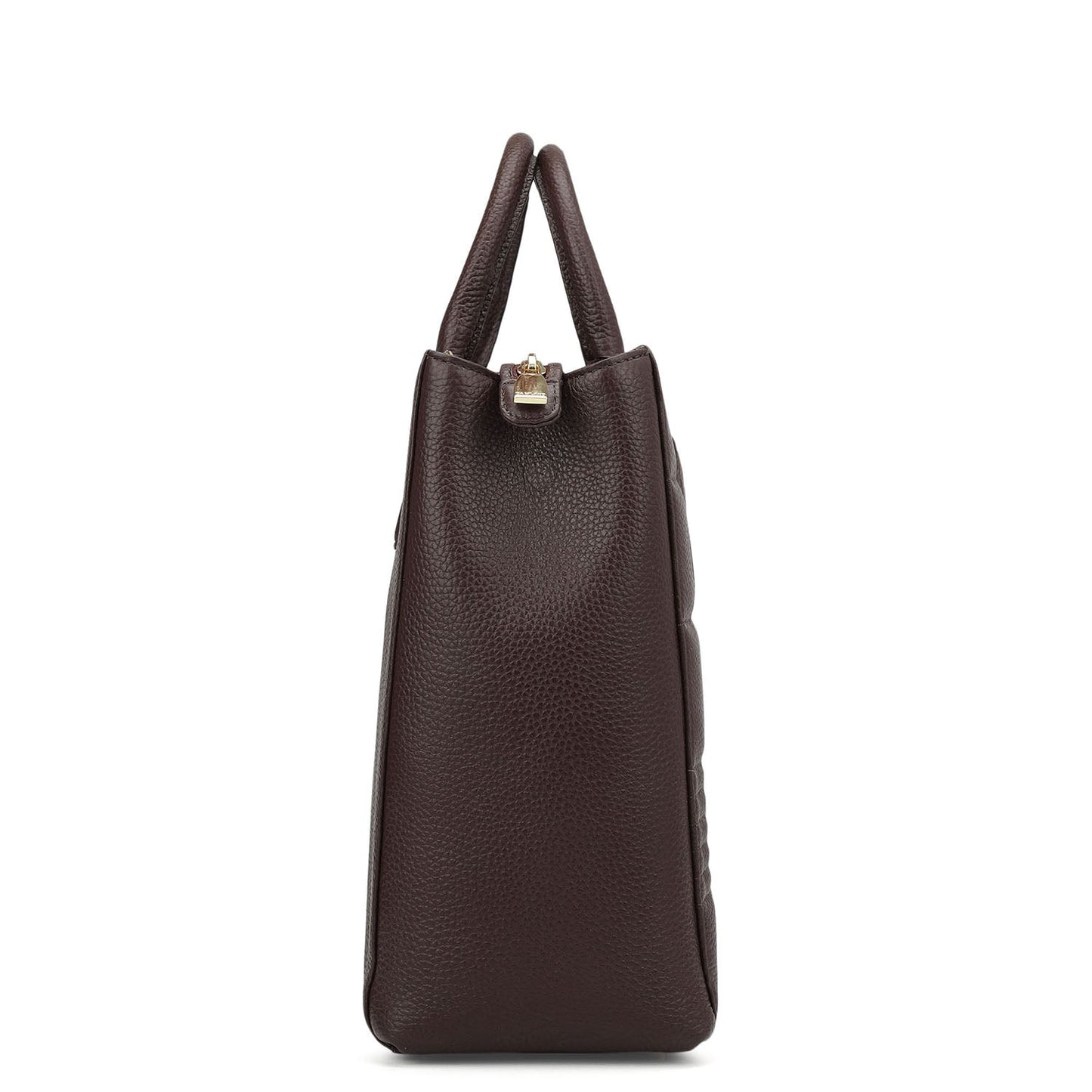 Large Wax Stripe Leather Book Tote - Berry