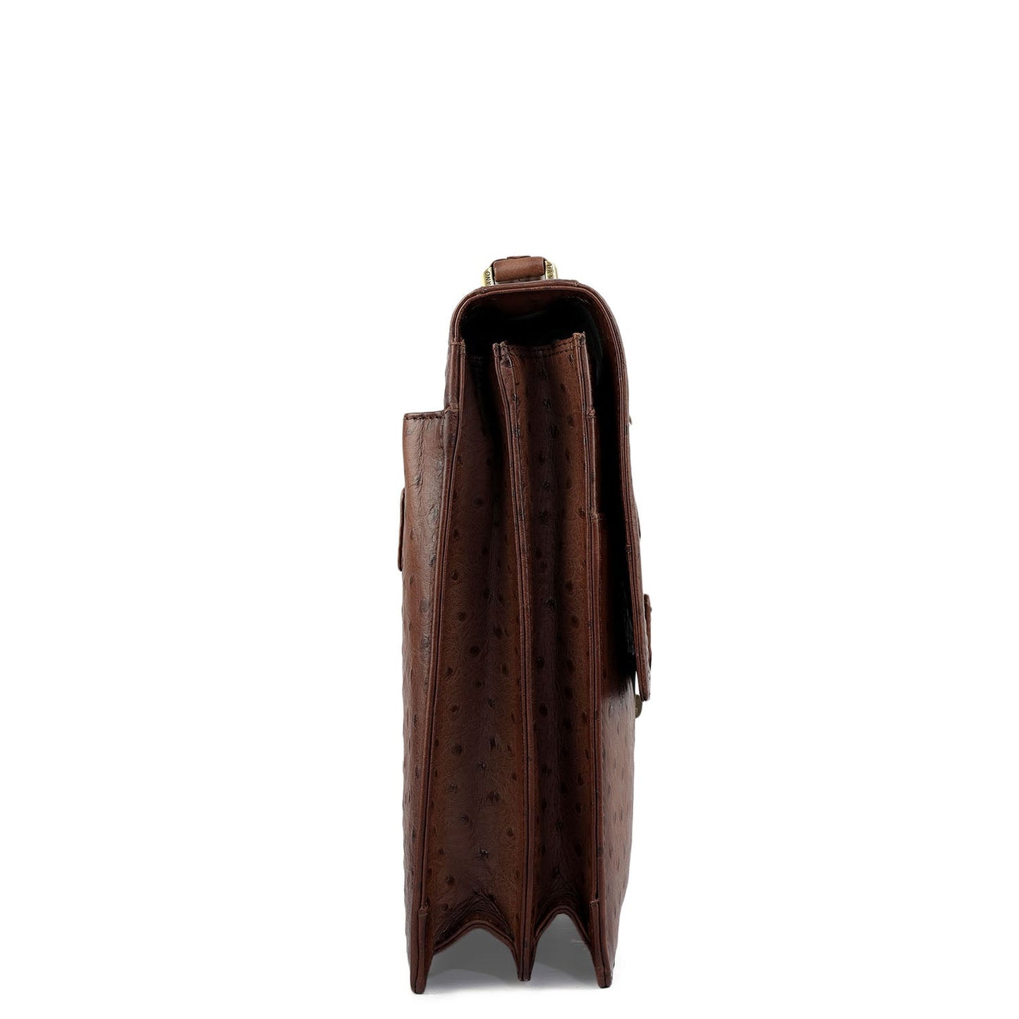 Ostrich Leather Portfolio - Brown