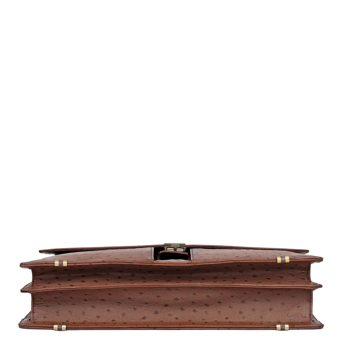 Ostrich Leather Portfolio - Brown
