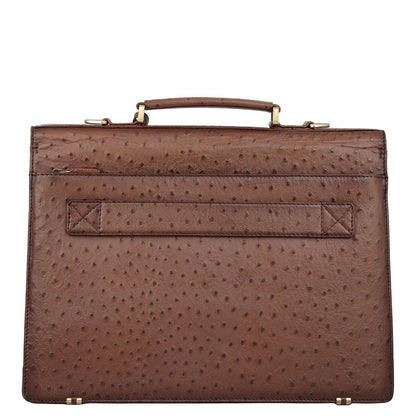 Ostrich Leather Portfolio - Brown